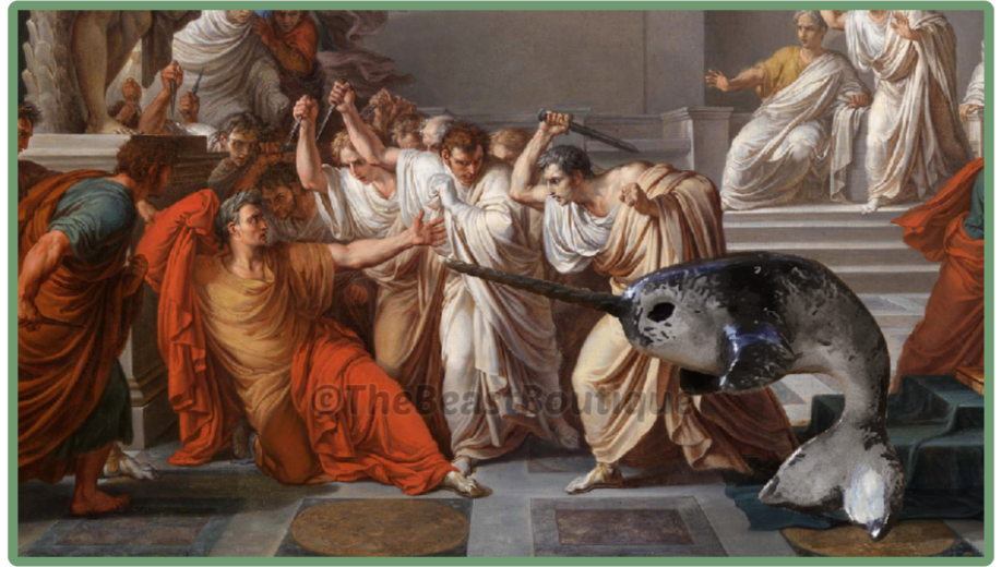 A crop of the painting 'The Death of Julius Caesar' by Vincenzo Camuccini, which depicts the assassination of Julius Caesar. A grey narwhal figurine has been edited in directly in front of Caesar amongst the other senators.
the shop name, the beast boutique, watermarks the image