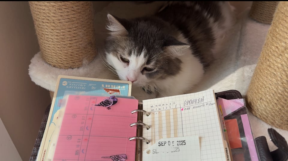 an image of a cat named suki sniffing at a filofax journal