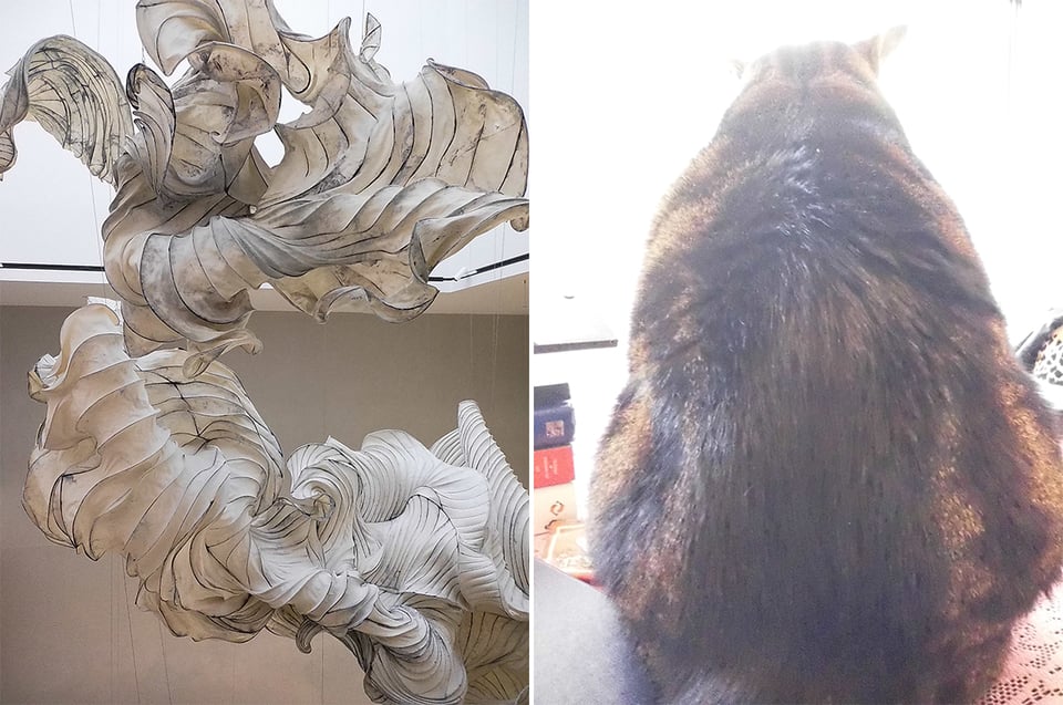 two digital Instax images: left, paper-mache piece of art hanging from a ceiling, in sunlight; right, a very chonky cat siting with his back to the camera, with sunlight behind him kinda blurring things