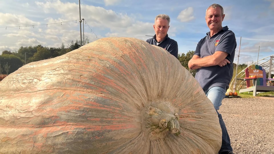 Two men stand next to an absolutely massive giant pumpkin