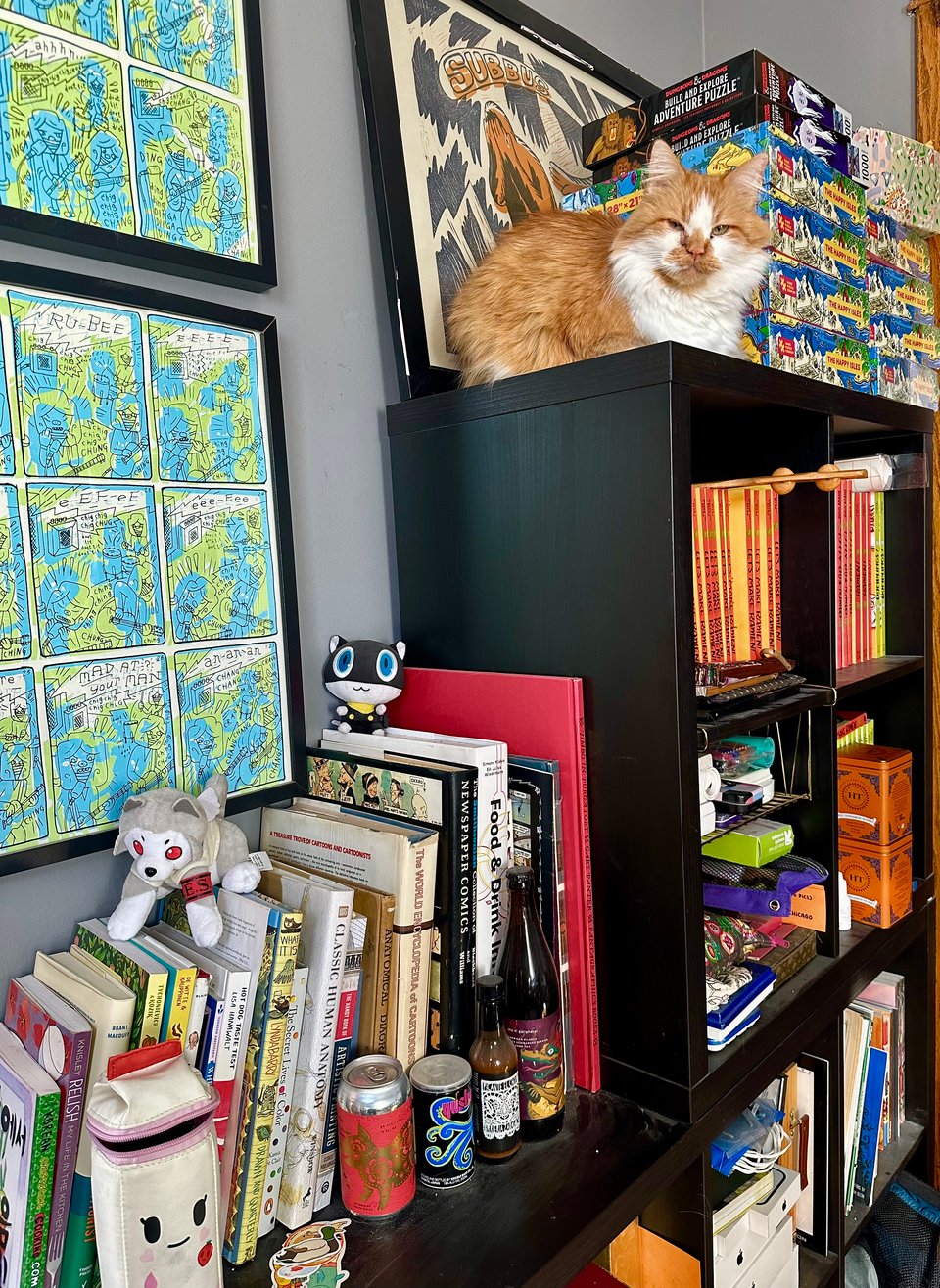 A fluffy orange cat on top of a messy bookshelf filled with art books and puzzles