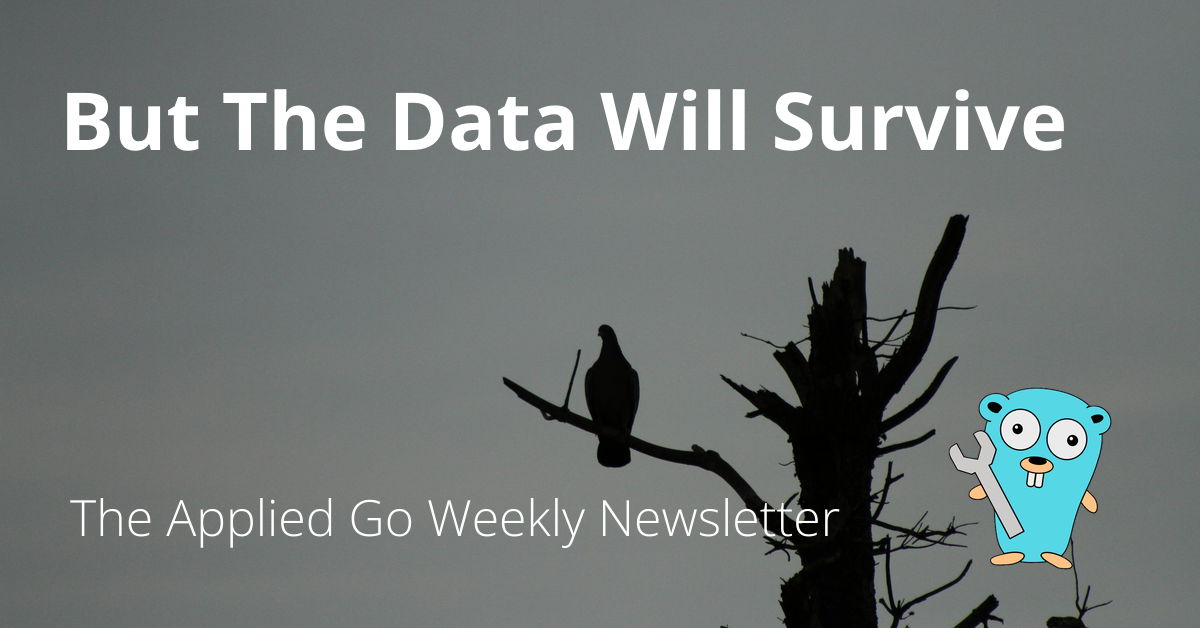 But The Data Will Survive • The Applied Go Weekly Newsletter 2024-12-22