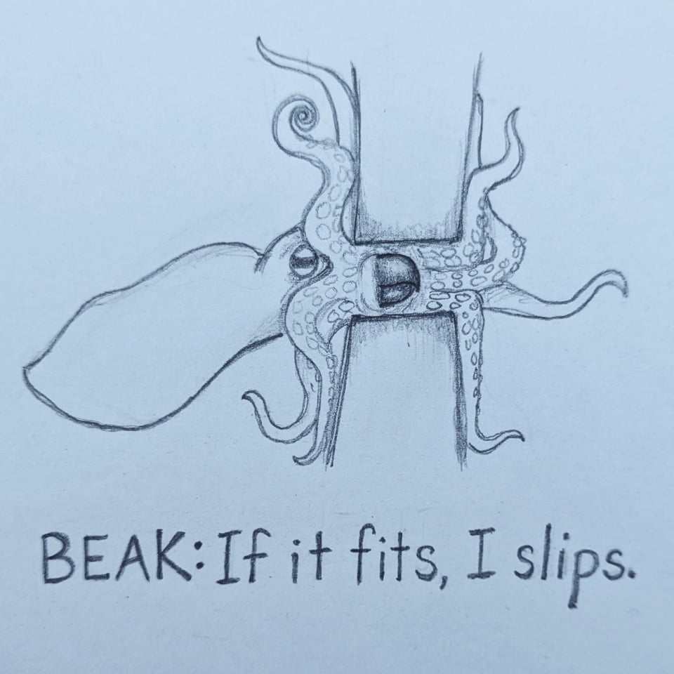 Drawing of an octopus squeezing through a narrow opening. The beak is prominently visible in the center of the opening, which is just slightly larger than the beak. Text reads "BEAK: If it fits, I slips."