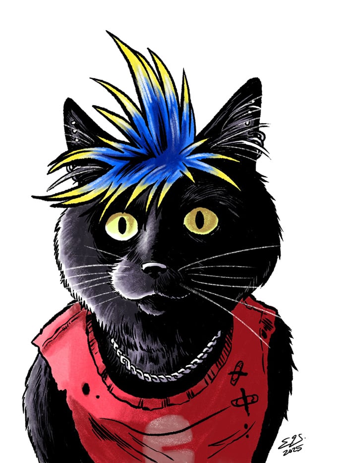 A black cat with a spiked punk hairdo and a ragged cat-sized t-shirt with the sleeves torn off.