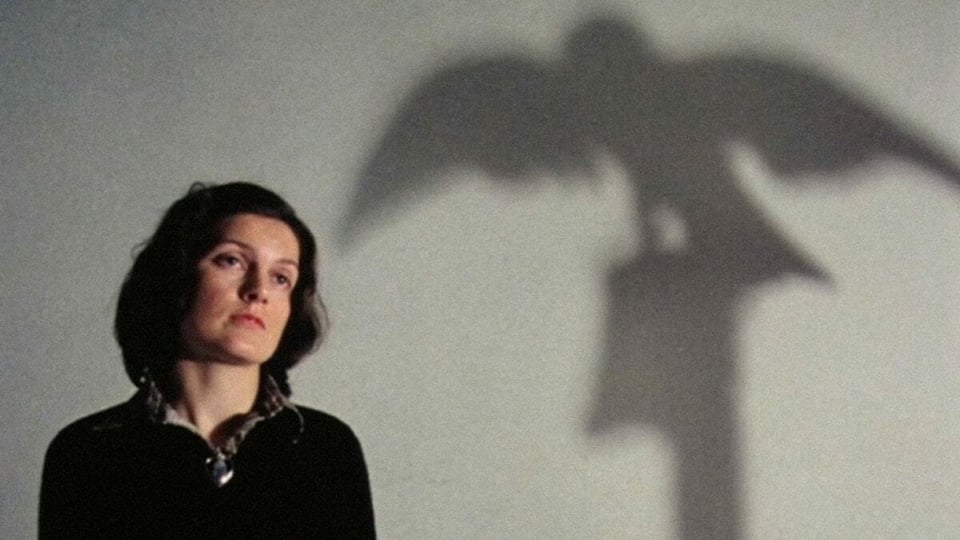 A traumatized woman stands with the shadow of a bird on a pole behind her in The Falls