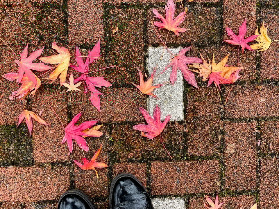 Red and orange fallen leaves on the brick ground with two black boot tops peeking out at the bottom of the frame.