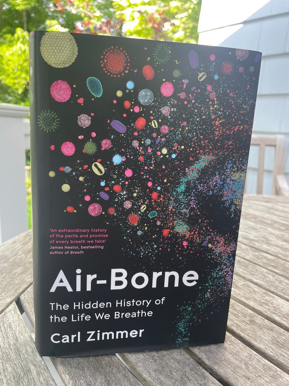 The cover of the British edition of Airborne