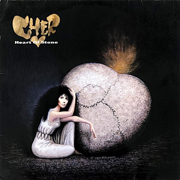 A painting of Cher sitting next to a large heart-shaped stone. Cher is wearing a white dress that is cinched at the waist, creating a number of folds. The stone heart has a series of cracks running through it. With the way everything is arranged, it creates the image of a skull: the stone heart is the head part of the skull, Cher's face makes the eye, and the cinched folds of her dress make the teeth.