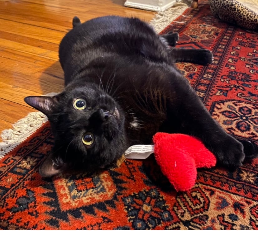 Celebrating a Decade of Jasper Schuster