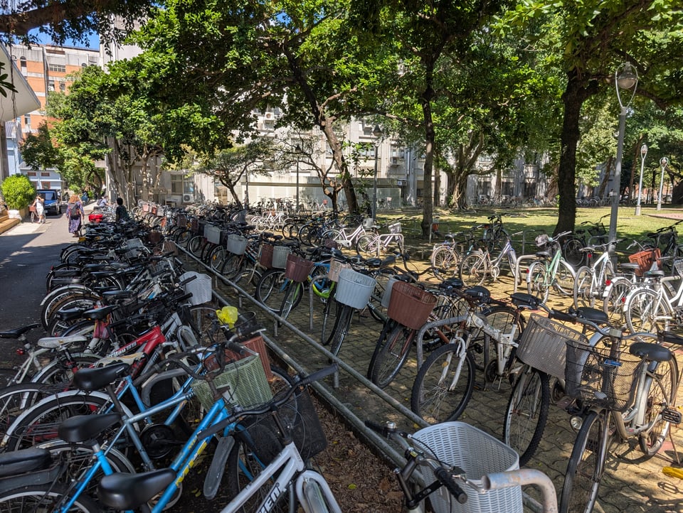 A shaded bicycle parking lot featuring roughly a hundred closely packed bicycles. Many have baskets, few designs repeat.
