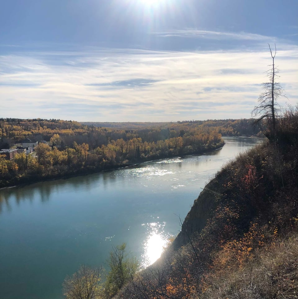 The North Saskatchewan River in the sunshine. The water looks green and sparkles. On this side, a slope with shrubbery in various stages of autumnal decline. Across the ribbon of gleaming water, a few white clapboard buildings, part of Fort Edmonton Park.