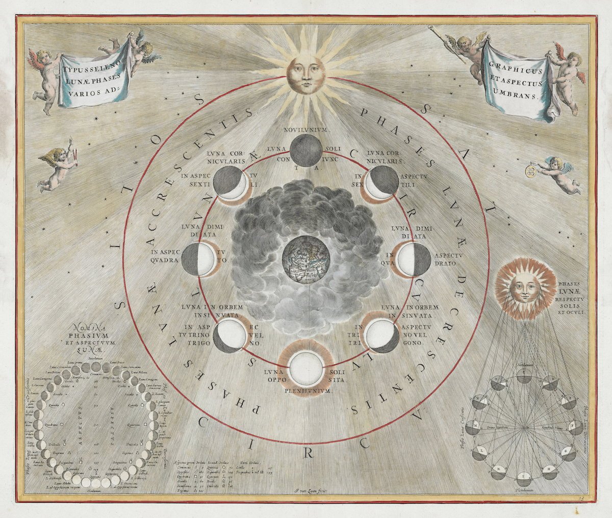 Books, birds, the width of certain continents