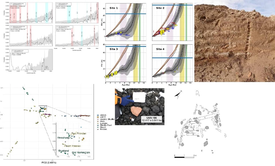 A grid collage of six figures from research papers with plots and photographs of fieldwork