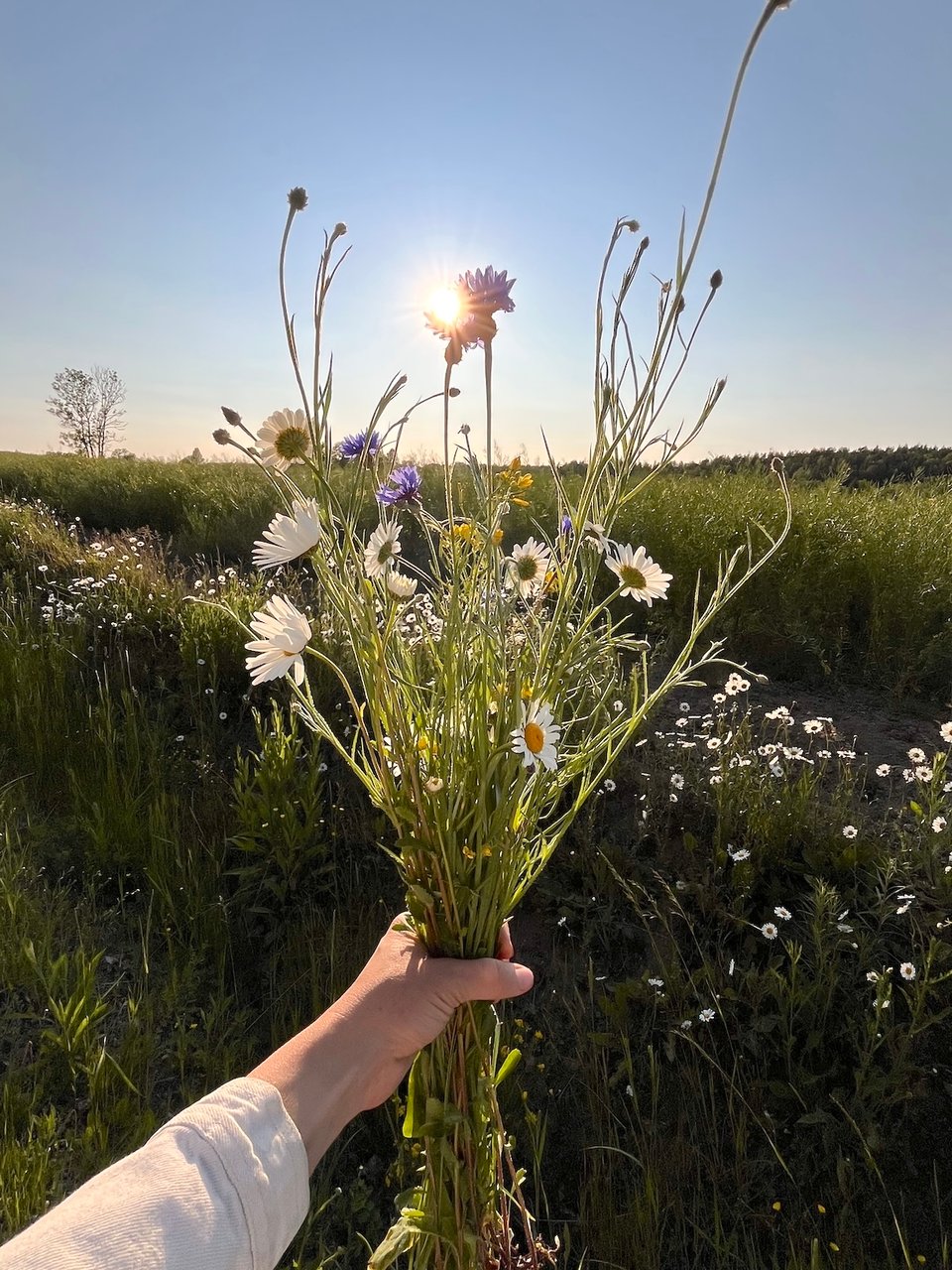 wildflower bouquet