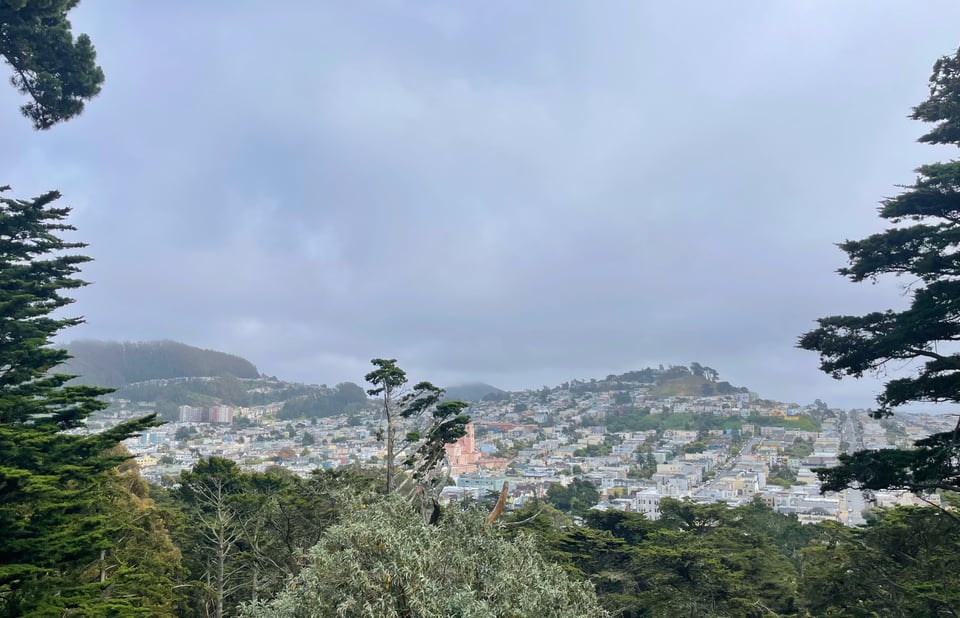 a view of San Francisco from a hill, with green trees in the foreground and rows of buildings in the background