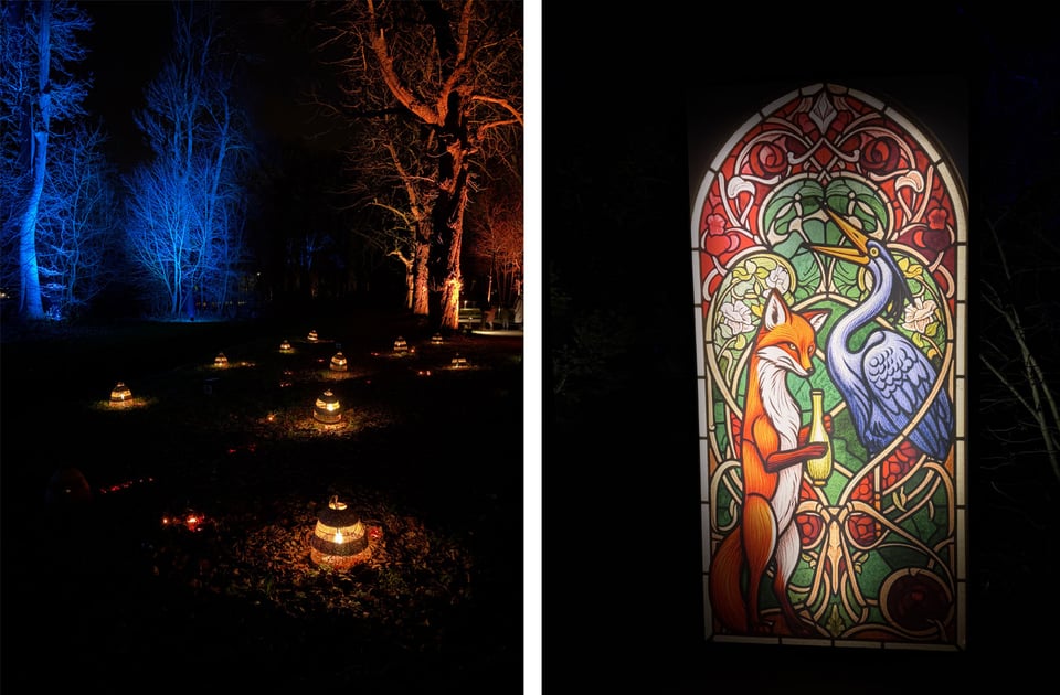 Two photos side by side. Left hand side photo shows trees lit up in orange glow and blue glow on either side of a path lit up with 'beehives' from lights. The right hand photo shows a "stained glass" of a fox and a blue heron.