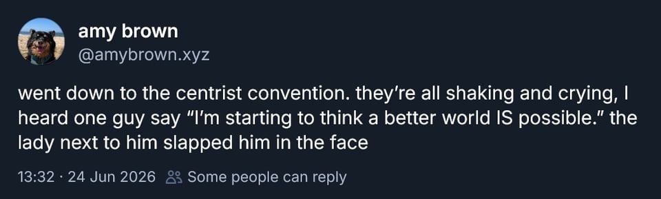 Bluesky screenshot. amybrown.xyz:

went down to the centrist convention. they're all shaking and crying, I heard one guy say "I'm starting to think a better world IS possible." the lady next to him slapped him in the face