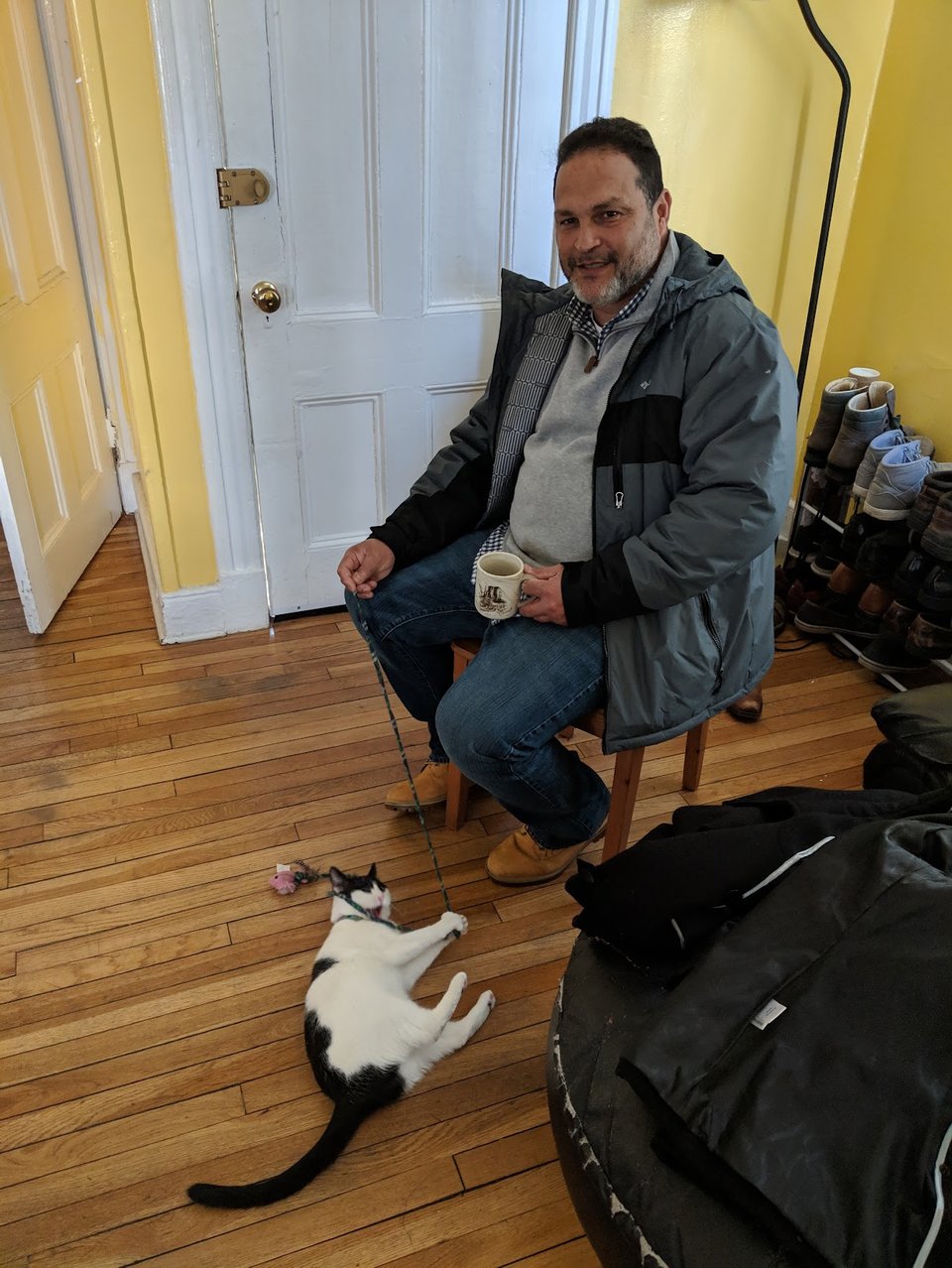 my dad plays with Domino, the cat he told me not to get, in my old apartment in Kingston.