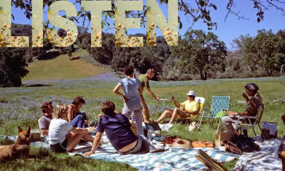 vinatge image of a 1960s/1970s picnic scene with people sitting on lawn chairs and a picnic blanket outdoors in an open field.