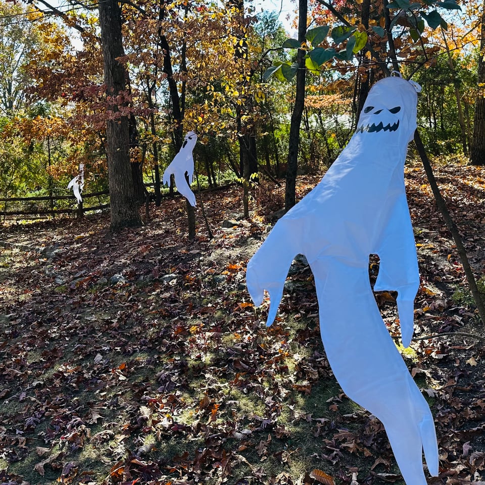 photo of suburban yard with ghost decorations hanging from branches, blown by the wind. There are a fallen leaves everywhere