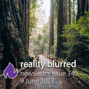 A photo of a path through redwood trees; the text 'reality blurred newsletter issue 340, 9 June 2023'