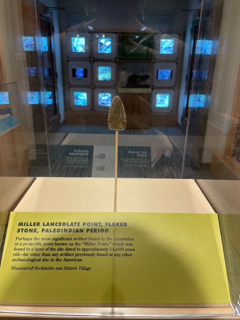 A museum display case with a grey stone spear or arrowhead type object in it.