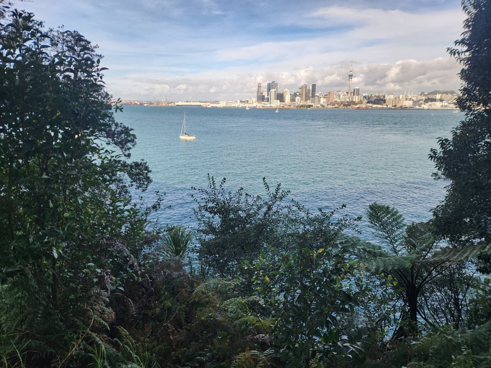 Stokes Point Reserve overlooking Auckland CBD