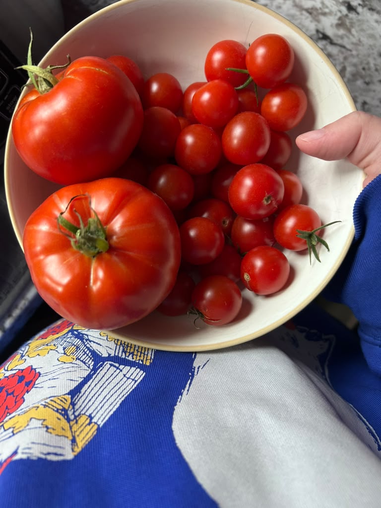 Emory's perspective looking down at the bowl of tomatoes he is holding.