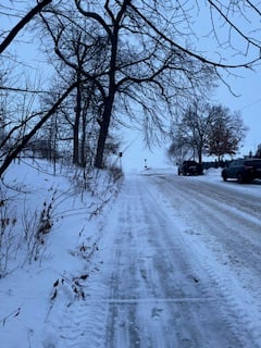 twilight view of snowy sidewalk and dark branches