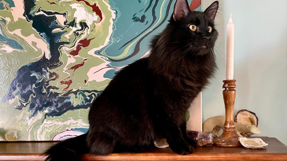A fluffy black cat on a wooden mantel n front of an abstract green painting, with a candle stick and some mantle decorations.