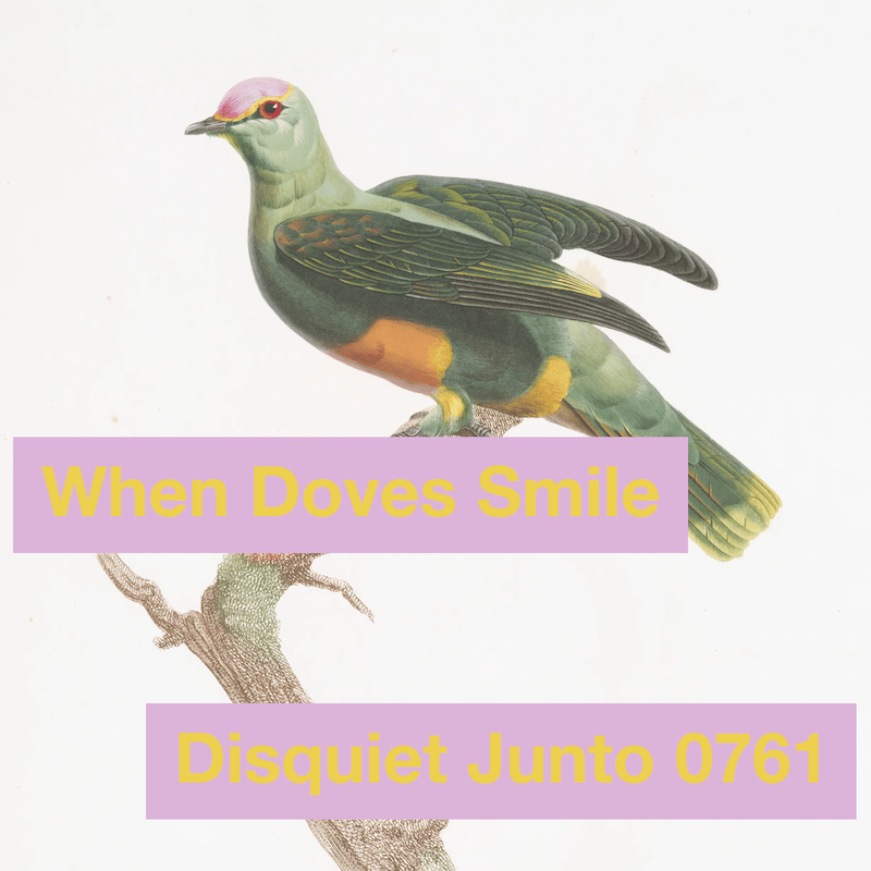 A bird on a brand plus the name and number of the project