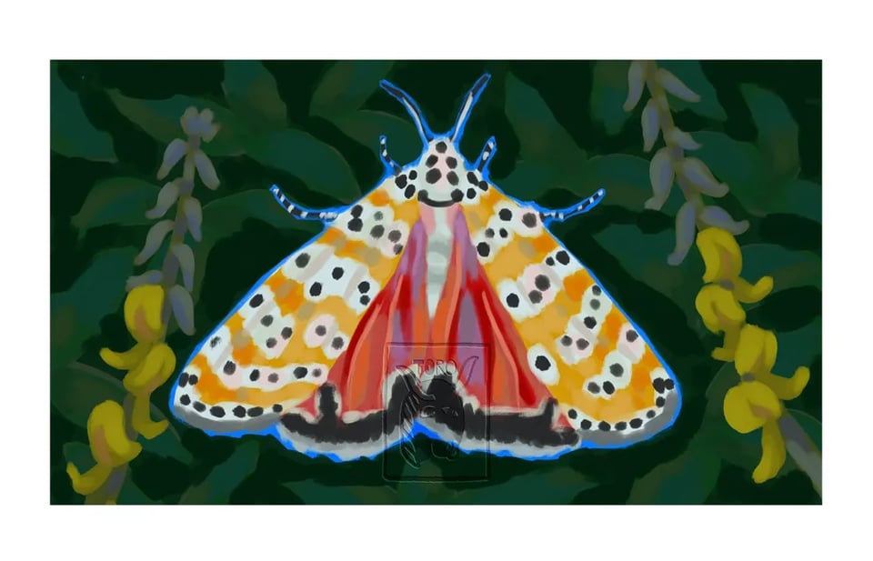 Illustration of a red, yellow, white, and black Polilla Bella/Bella Moth among rattlebox plants