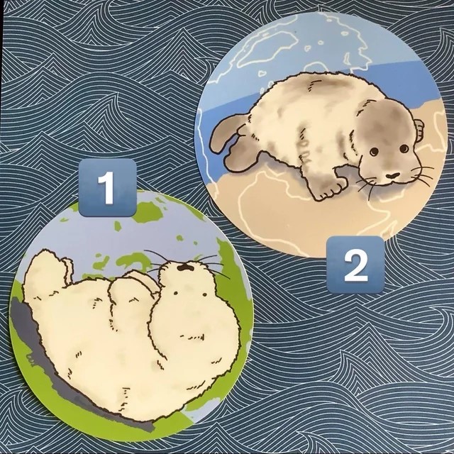 Two stickers with seal pup illustrations, the ground they are lying around is representing a globe or map. They are photographed on origami paper with a wave pattern.