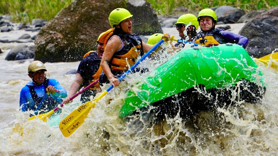 Over the river and through the jungle…