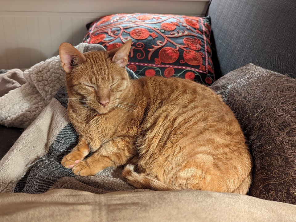 A striped cat napping in a pile of pillows and blankets