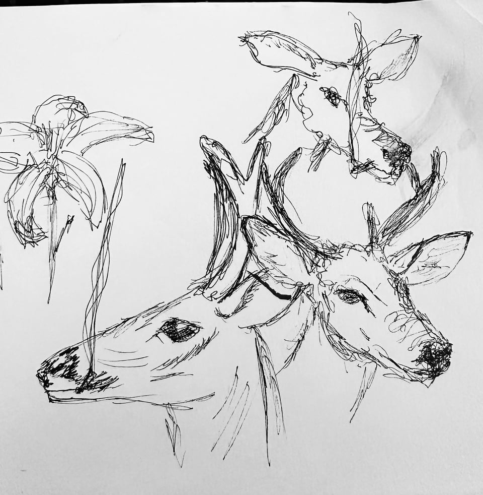 photo of a sketchbook page featuring 3 deer, 2 of whom are smoking cigarettes. There's also a sketch of a tiger lily