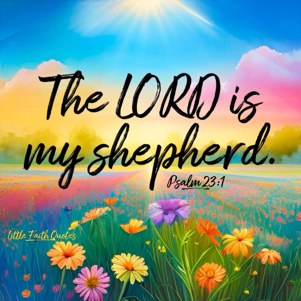 "The LORD is my shepherd; I shall not want." ~Psalm 23:1. The sun sets in a beautiful blue sky. A meadow of pink, yellow, violet, and orange daisies stretches out below. Image by: @Little Faith Quotes.
