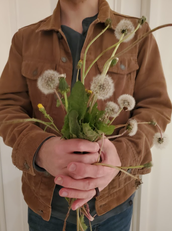 Kurt stands facing the camera, holding a fistful of dandelions gone to seed.