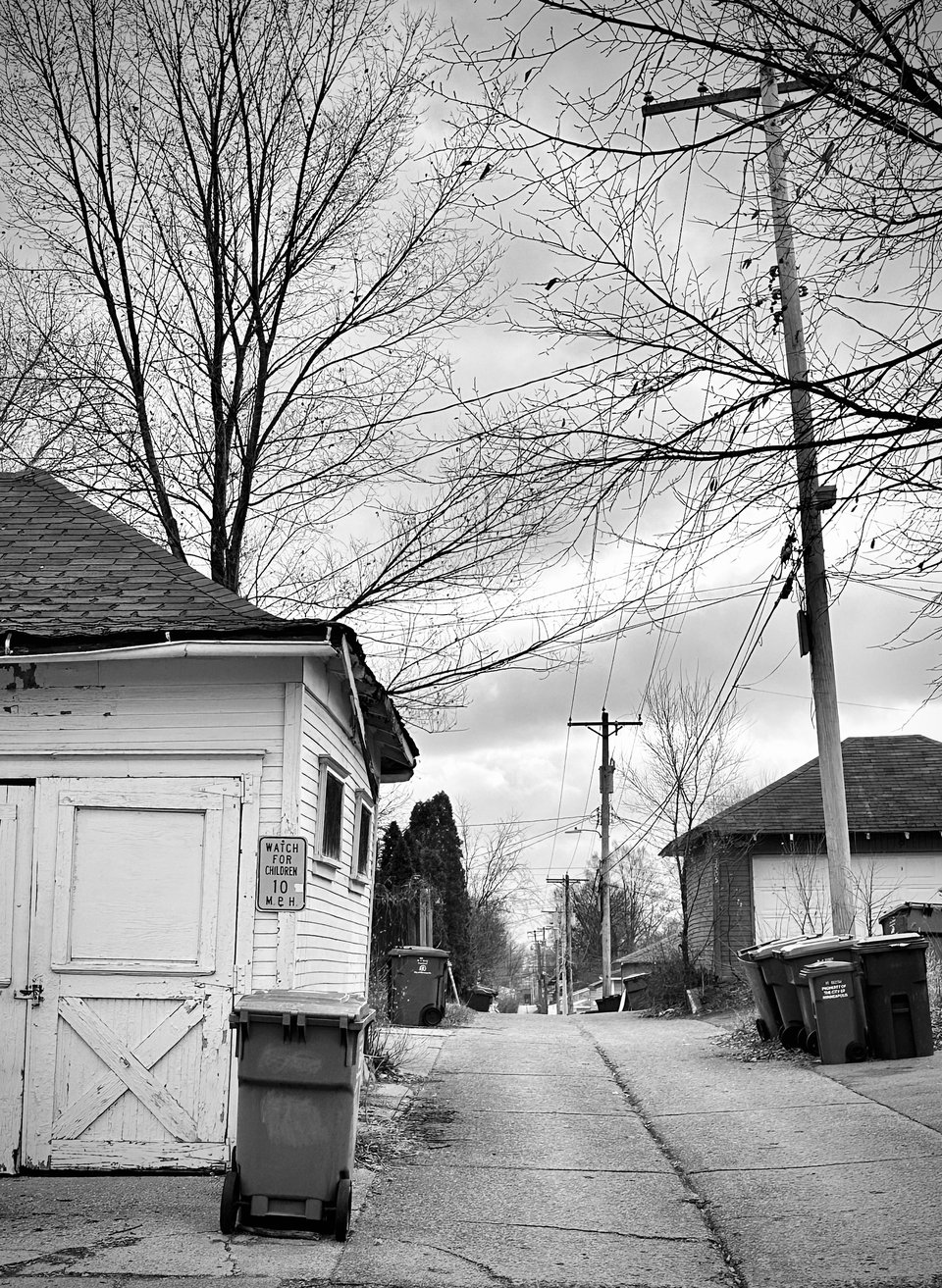 Image of an alley, with garages and garbage cans featured prominently
