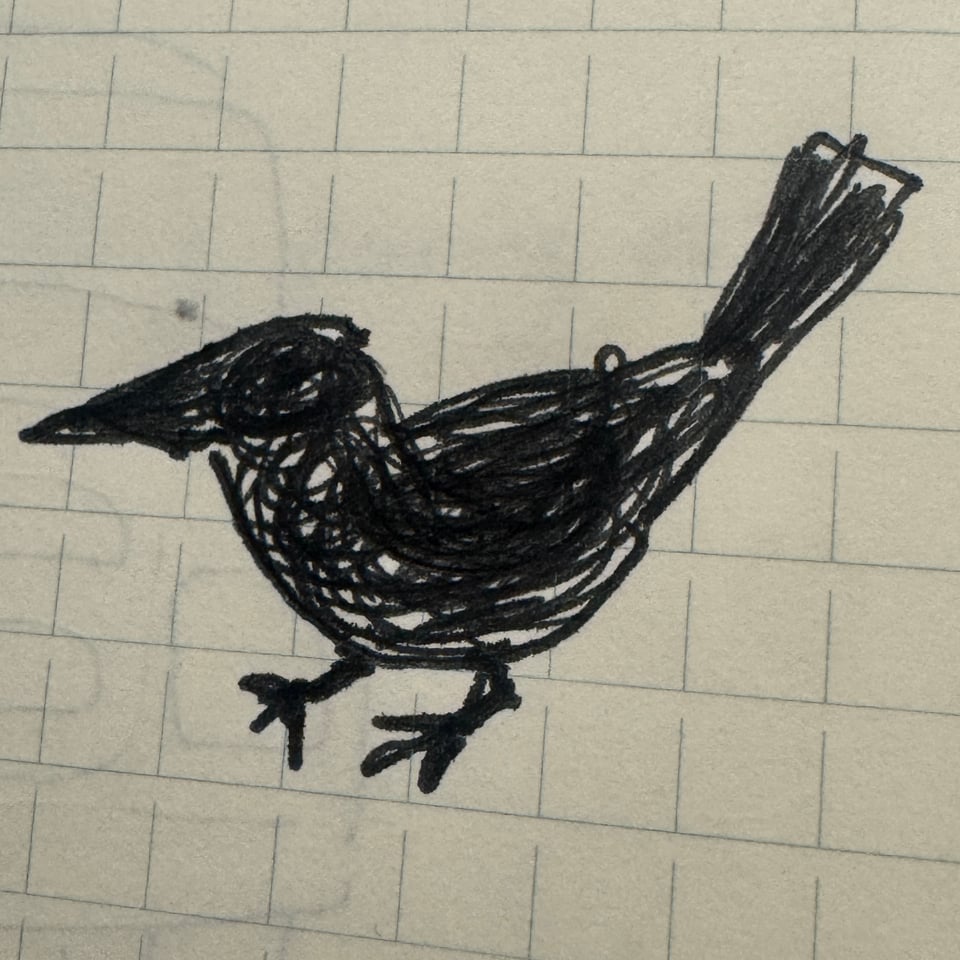 a sketch of a crow-ish bird.