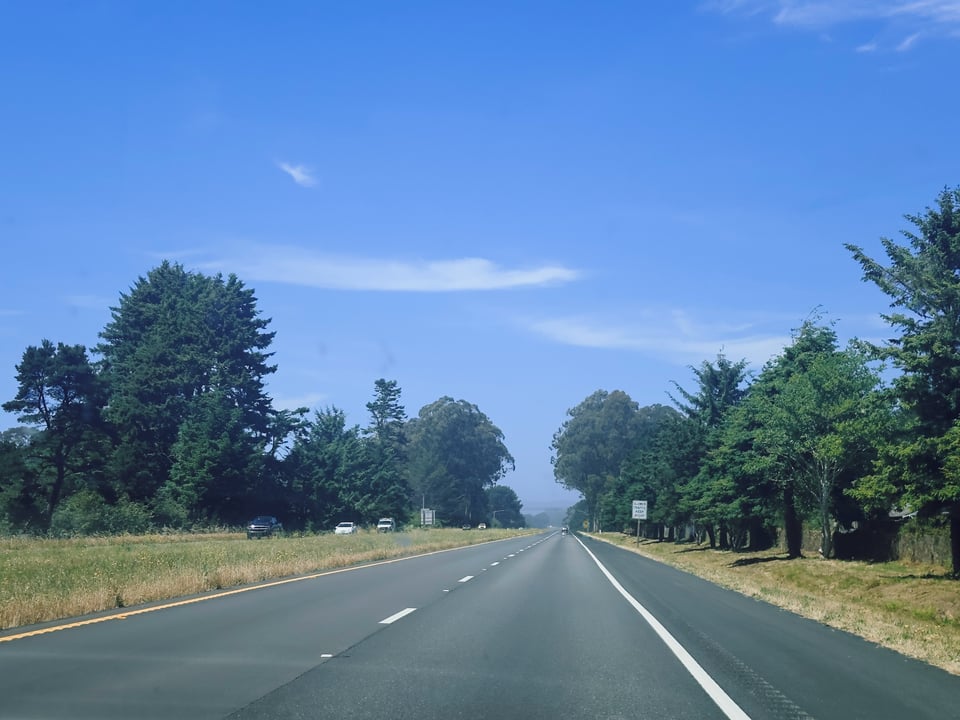 The 101 disappears into the distance, surrounded by smaller trees