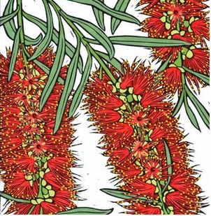 Sky's Vic Park Newsletter #3: on parking, trees, and Duncan Reserve