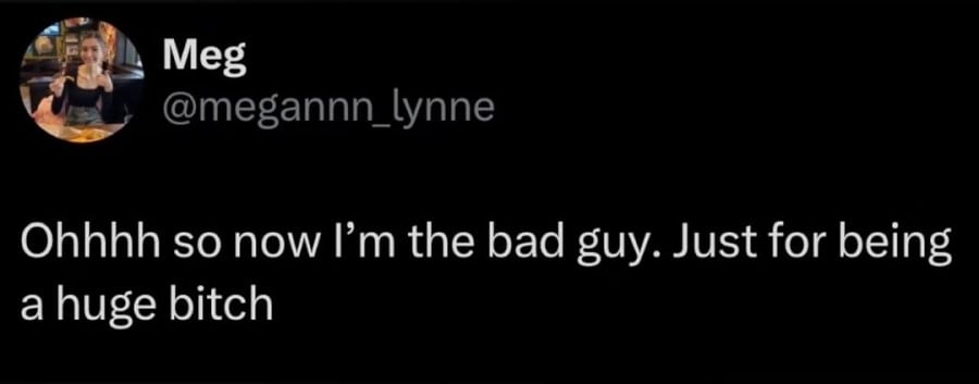 Twitter screenshot from @megannn_lynne: "Ohhhh so now I'm the bad guy. Just for being a huge bitch"