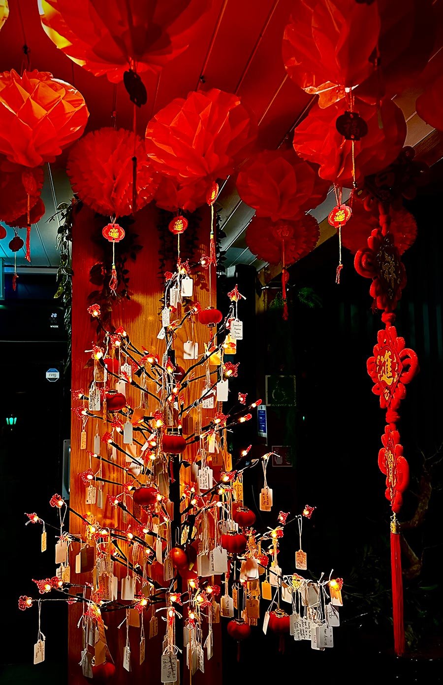 Chinese lanterns