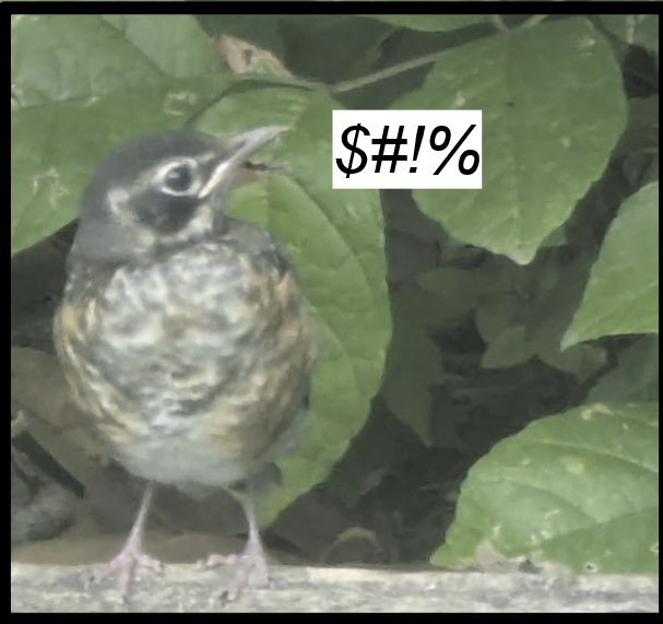 A small bird in front of some leaves. Text makes it looks like its cursing with $#!%
