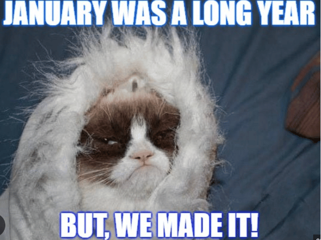 A meme of a tired-looking cat with text that reads, "January was a long year but we made it!"