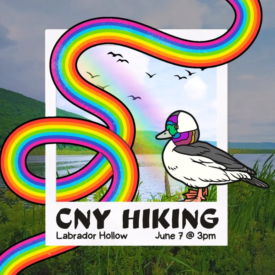 CNY Hiking Hike at Labrador Hollow, Sunday June 7th at 3 PM.