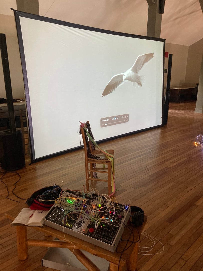 a screen projection showing a bird in flight and a modular synth glowing in the foreground a modular synth in front of a projection screen with a bird in flight