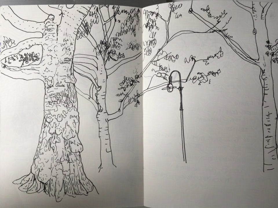 A black pen drawing of a tree in the front, and two trees and a street lamp in the back. The drawing is on white paper across 2 pages of a sketchbook.