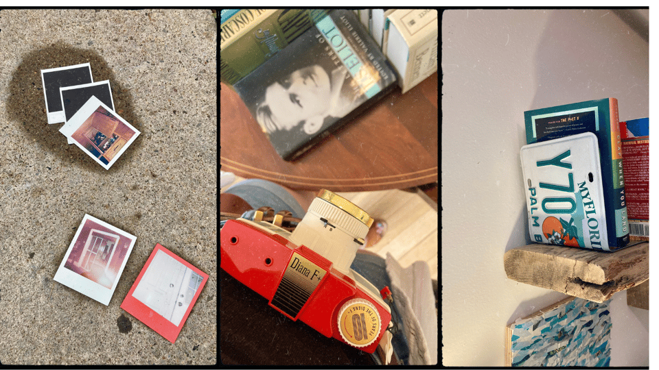 3 photos in a grid. L-R: a scattering of Polaroid snapshots on pavement; a picture of D wearing a Diana camera over her neck, the shot aimed downward; a bookshelf holding YA books with a book-end made from a Florida license plate.
